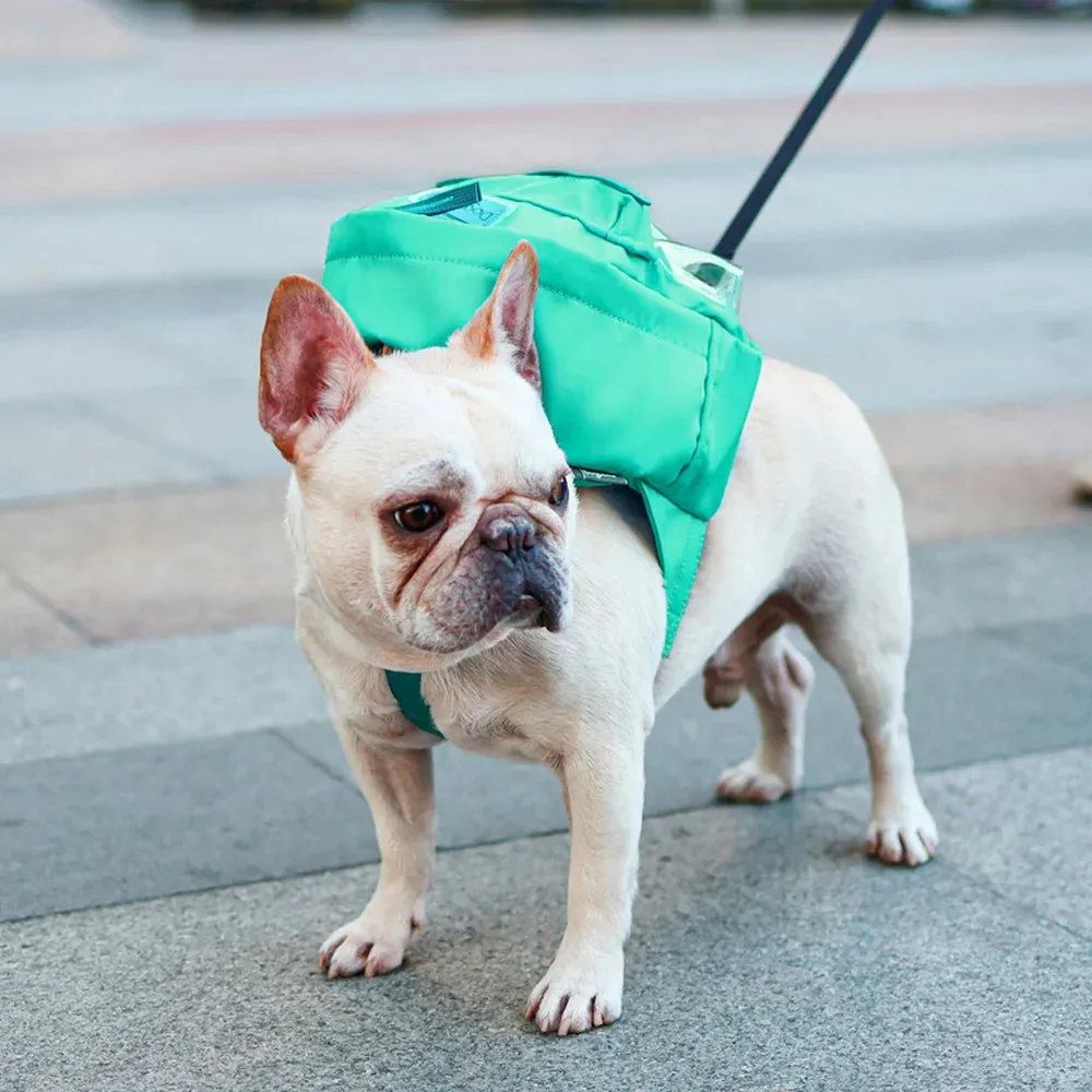 Korean French Bulldog Pet Carrier Bag | Small Medium Dogs Walking Harness | Puppy Dog Cat Self Backpack with Mini Pocket Saddle Bags | Alo Trendy