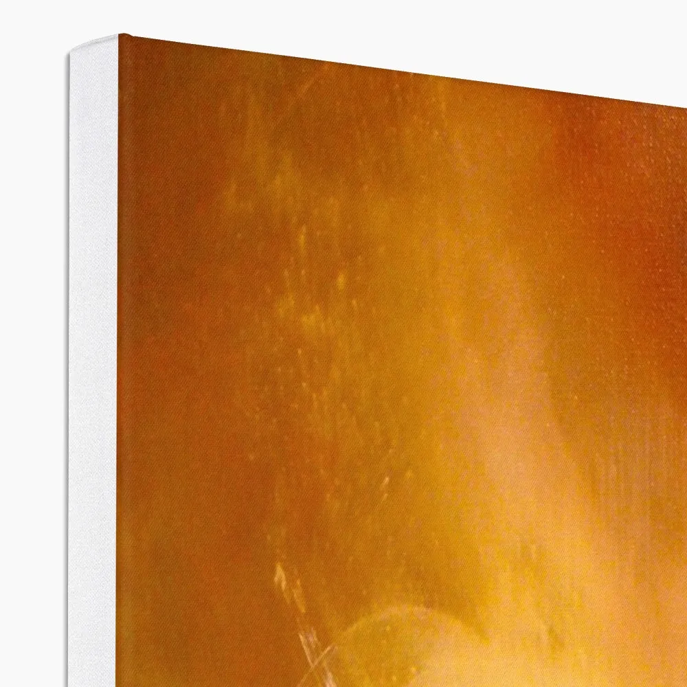 'Unveiling Joy' Canvas